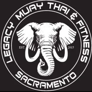 White elephant. We love elephants