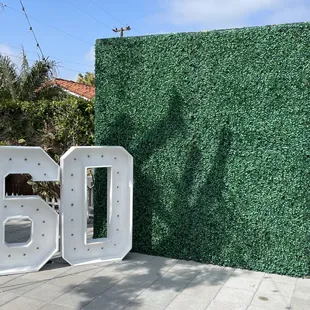 Green wall 8'x8' and a #60 with led light