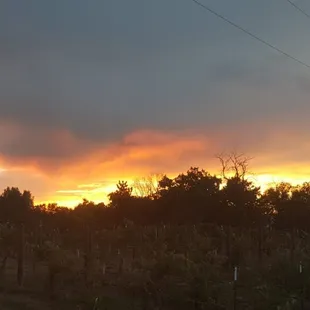 Can't beat the sunsets overlooking the vineyard