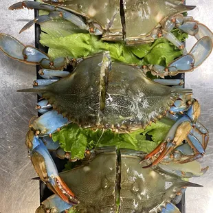 Monday to Friday come and check in get a free per person live blue crab(dinner time only)limited quantity！Show the advertisment get crab.