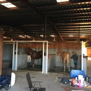Wash racks/ grooming stalls