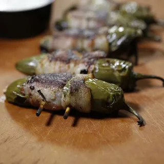 Snake Bites