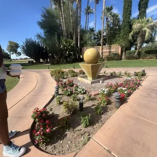 sushi and sashimi, outside