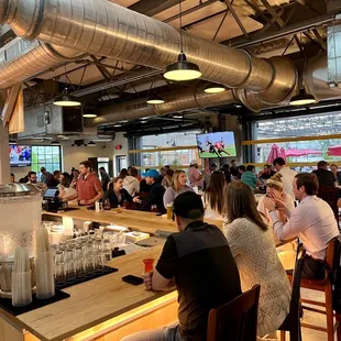 people sitting at the bar