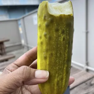 Huge whole pickle