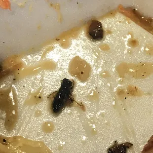 food, soups and chowder