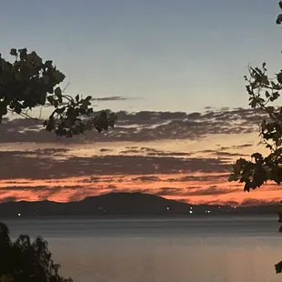 This is the view from my dinner table