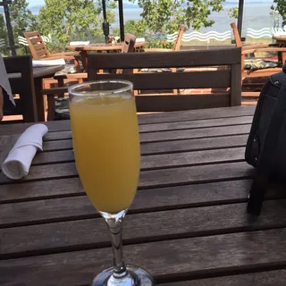 Mimosa