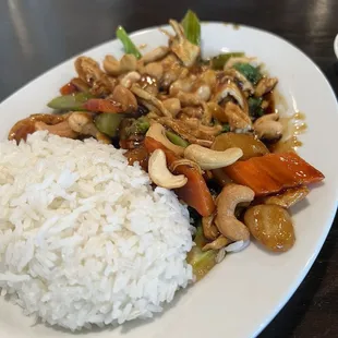 Cashew chicken lunch