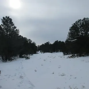 Very cold and beautiful in winter! The area just had a blizzard so there's a LOT of snow! Driveway up to office was very icy.