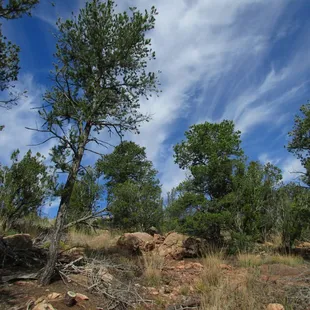 The weather in Oct is very pleasant; I wore a tshirt and shorts to hike through here. Then it started raining about two hours after this!