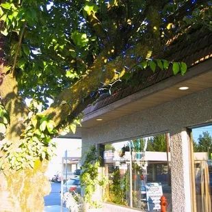 Welcoming Front