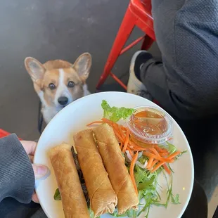 Egg Eggrolls
