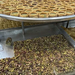 Birds nests are my fav