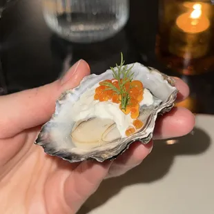 oysters, mussels, shellfish, food, oysters and mussels