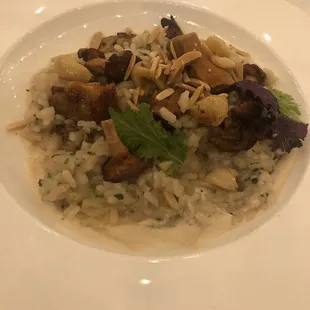 Oyster Mushroom Risotto