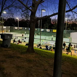 12 pickleball courts