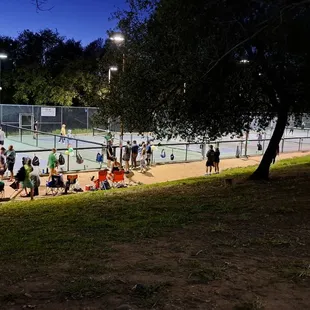 12 pickleball courts