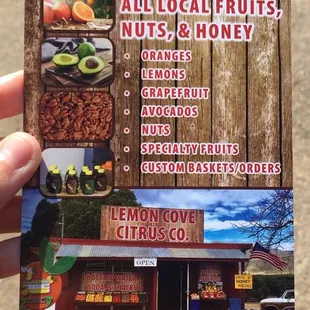 Pamphlet