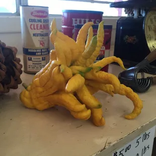 Crazy lemon