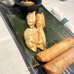 Veggie Spring Roll and Gyoza  both good!