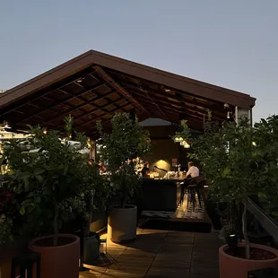 Rooftop bar area