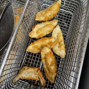 Chicken Fried Dumpling  Potsticker