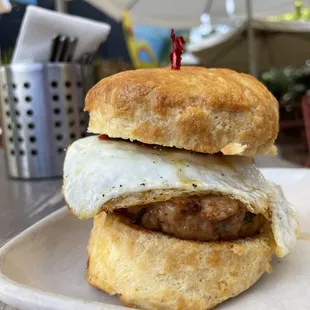 The Biscuit Sandwich