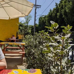 Sunny patio picnic time!