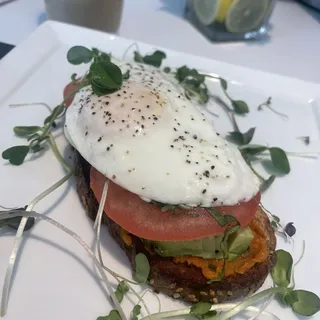Lemon Tree Avocado Toast