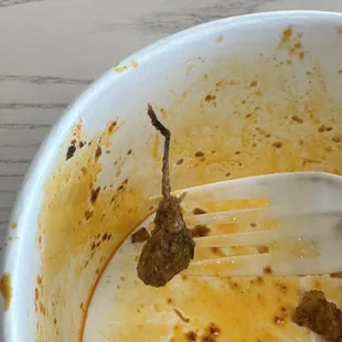 Cockroach leg in food.