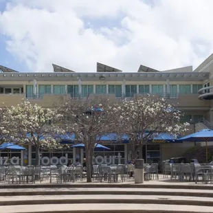 Lemongrass Plates is located in the UCSD Price Center.