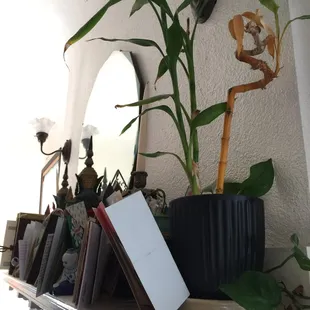 Mantle