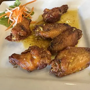 Viet Wings