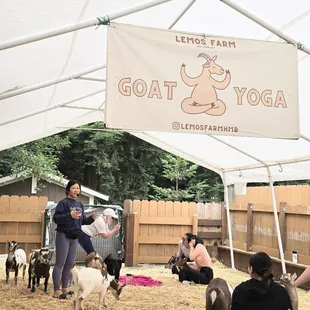 A simple instruction before we start