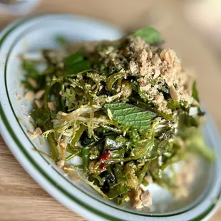 salad, food, salads