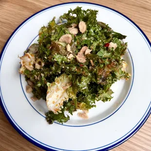 Grilled Snowpea Ensalada