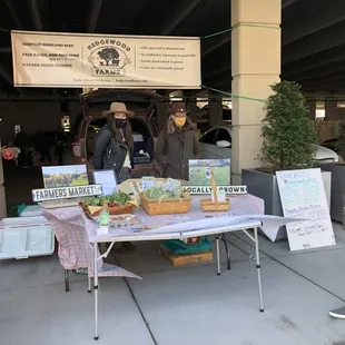 04/24/2021 - veggies &amp; eggs