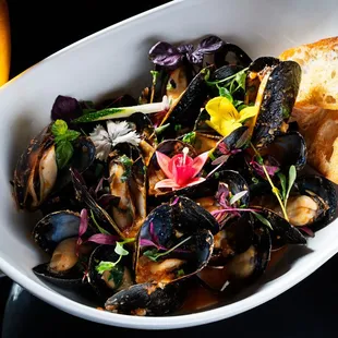 food, mussels, oysters and mussels, shellfish, oysters