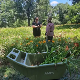 Family run, the most charming nursery in Kansas City