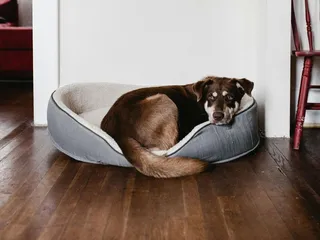 Ed Austin Regional Park