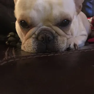Ella M.