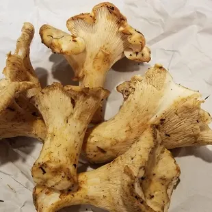 Very firm and meaty chanterelles! They were delicious pan fried with a bit of butter