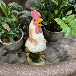Ceramic chicken in non-functioning fountain