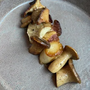 King Trumpet mushroom