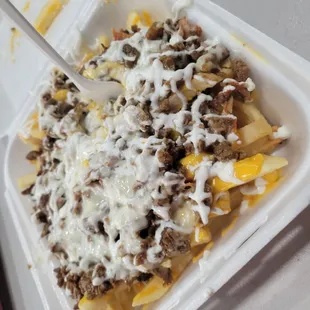 Carne asada fries