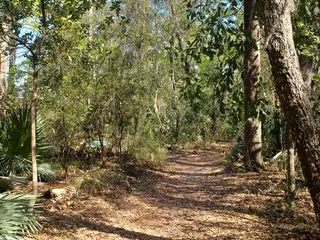 Alejandro Garces Camp Tomahawk Park