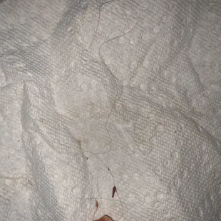 Long light brown curly under cheese in pizza