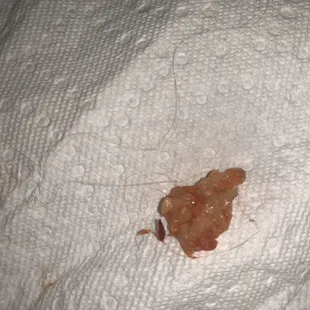 Long light brown curly under cheese in pizza