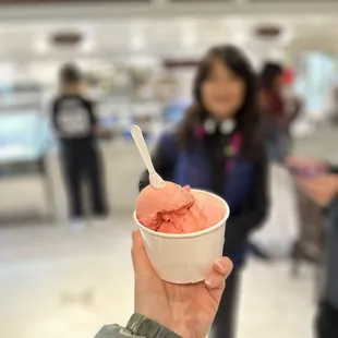 Watermelon gelato